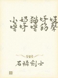 小奶猫呼吸有呼噜呼噜的声音