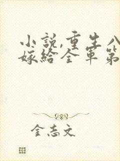 小说,重生八零嫁给全军第一硬汉