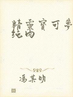 精灵宝可梦h文纯肉