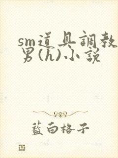 sm道具调教男男(h)小说