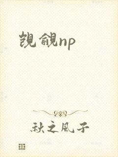 觊觎np