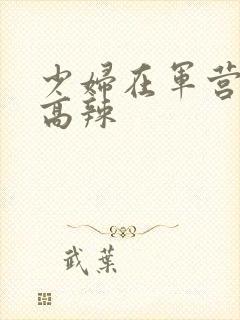 少妇在军营h文高辣