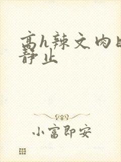 高h辣文肉时间静止