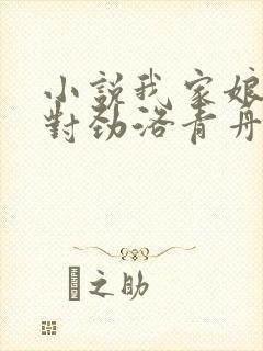 小说我家娘子不对劲洛青舟最新章节阅续