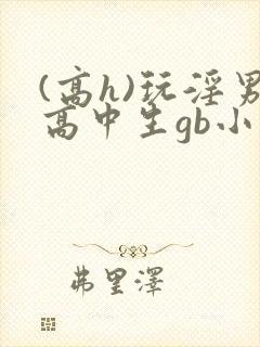 (高h)玩淫男高中生gb小说h