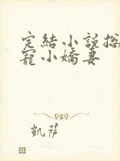 完结小说总裁私宠小娇妻