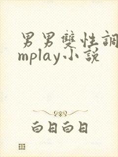 男男双性调教smplay小说