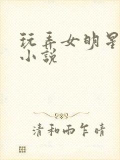 玩弄女明星有声小说封面