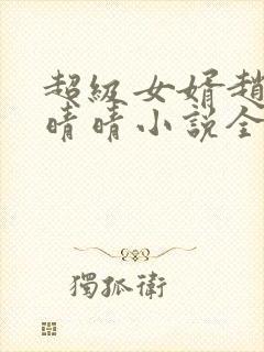 超级女婿赵旭李晴晴小说全文免费阅读封面