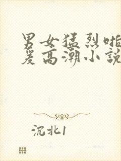 男女猛烈啪啪做爰高潮小说封面