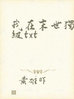 我在末世独自升级txt
