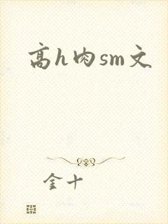 高h肉sm文
