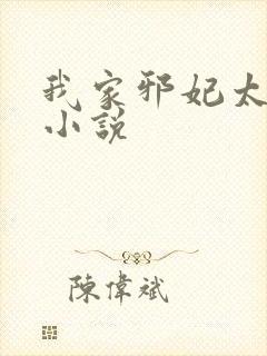 我家邪妃太嚣张小说