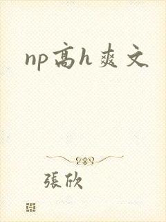 np高h爽文