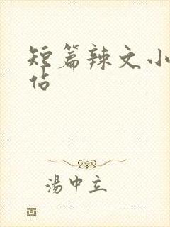 短篇辣文小说网站