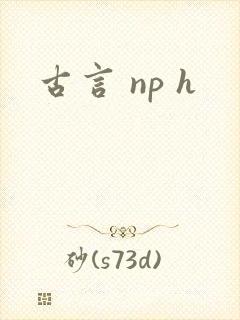 古言 np h封面
