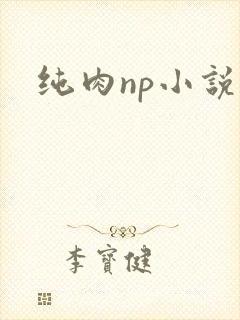 纯肉np小说h封面