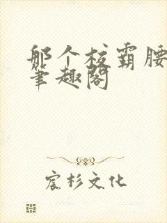 那个校霸腰好软笔趣阁