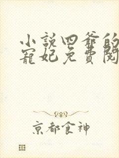 小说四爷的心尖宠妃免费阅读全文作者