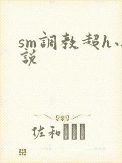 sm调教超h小说