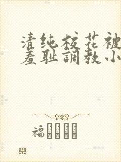 清纯校花被民工羞耻调教小说