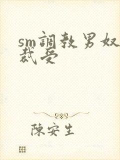 sm调教男奴总裁受