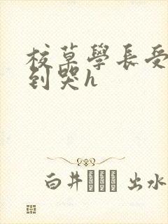 校草学长受被做到哭h封面