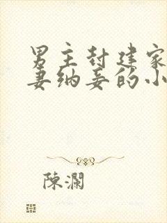 男主封建家主娶妻纳妾的小说封面