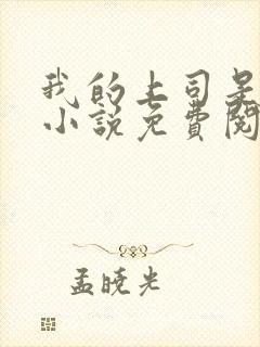 我的上司是女王小说免费阅读