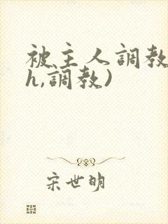 被主人调教(高h,调教)封面