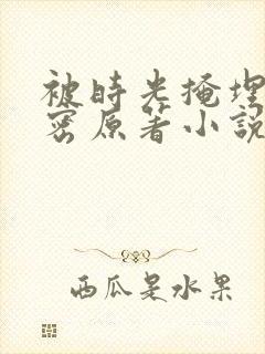 被时光掩埋的秘密原著小说