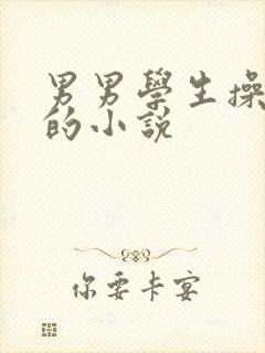 男男学生操屁眼的小说封面