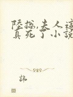 陆总,夫人这次真死了小说