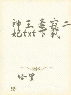 神王毒宠二嫁王妃txt下载