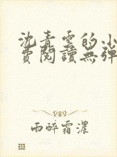 沈青云的小说免费阅读无弹窗全文最新章节