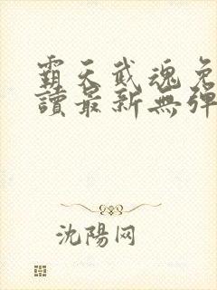 霸天武魂免费阅读最新无弹窗