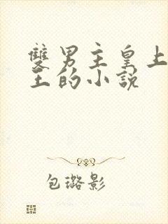 双男主皇上摄政王的小说