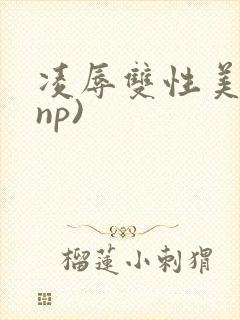 凌辱双性美人(np)
