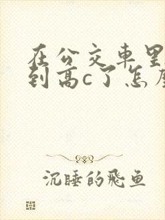 在公交车里c弄到高c了怎么办封面