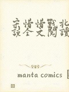 宋惜惜战北望小说全文阅读封面