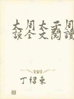 大周太子周铮小说全文阅读笔趣阁封面