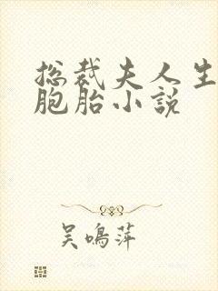 总裁夫人生了六胞胎小说