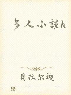 多人小说h