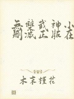 无双武神小说无删减正版在线阅读