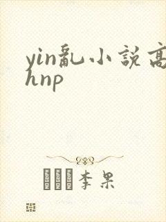 yin乱小说高hnp封面