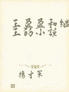 王盈盈和继父老王的小说