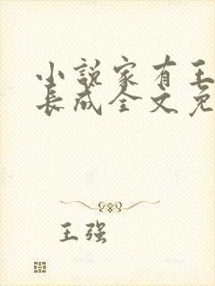 小说家有王妃初长成全文免费阅读封面