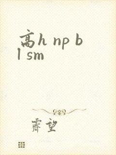 高h np bl sm
