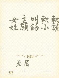 女主叫软软男主姓顾的小说