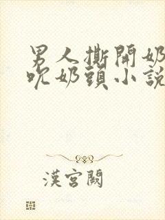 男人撕开奶罩揉吮奶头小说封面